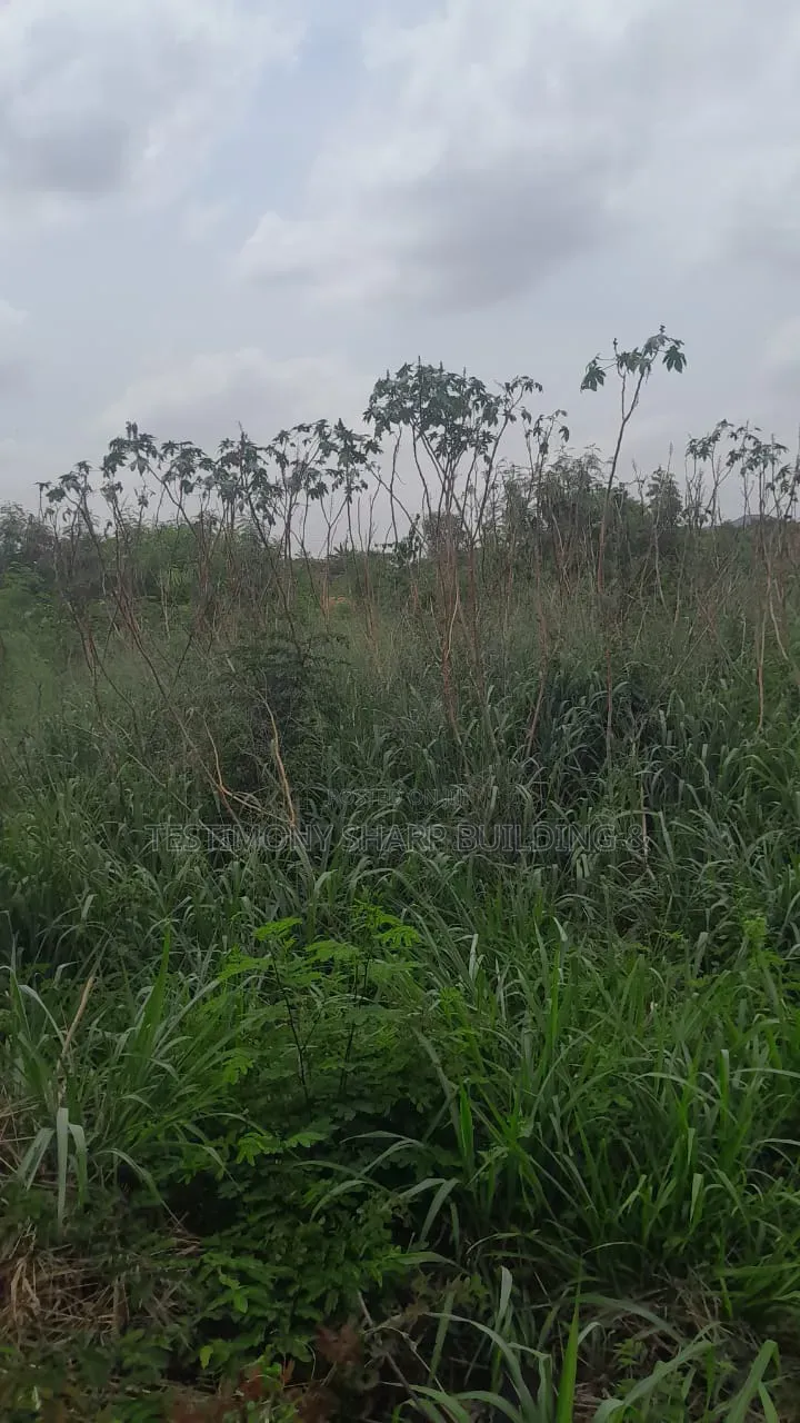 70/100 Plot for Sale at Amrahia