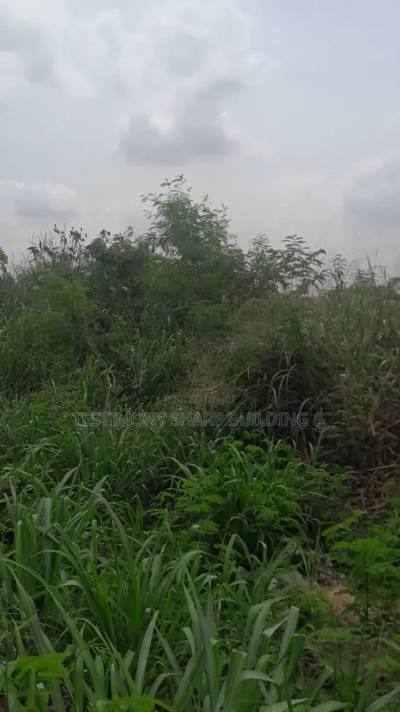 70/100 Plot for Sale at Amrahia