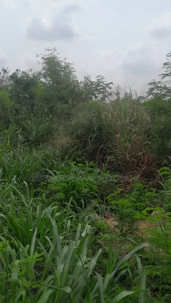 70/100 Plot for Sale at Amrahia