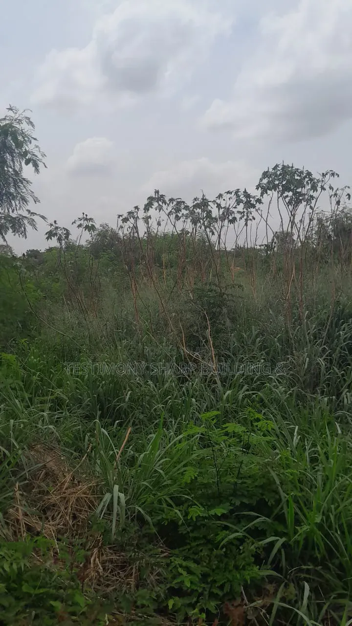 70/100 Plot for Sale at Amrahia