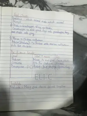 Bece/Wassce Science Notes