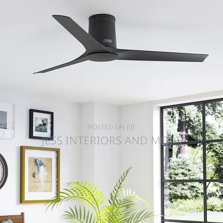 Hunter 52-Inch Ceiling Fan With Handheld Remote Control