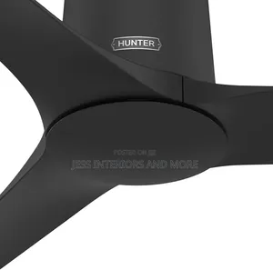Hunter 52-Inch Ceiling Fan With Handheld Remote Control