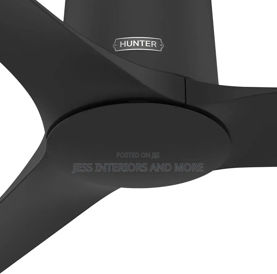 Hunter 52-Inch Ceiling Fan With Handheld Remote Control