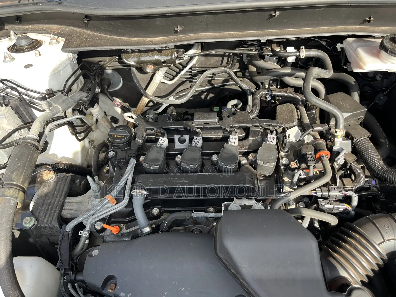 Honda CR-V EX AWD 2023 White