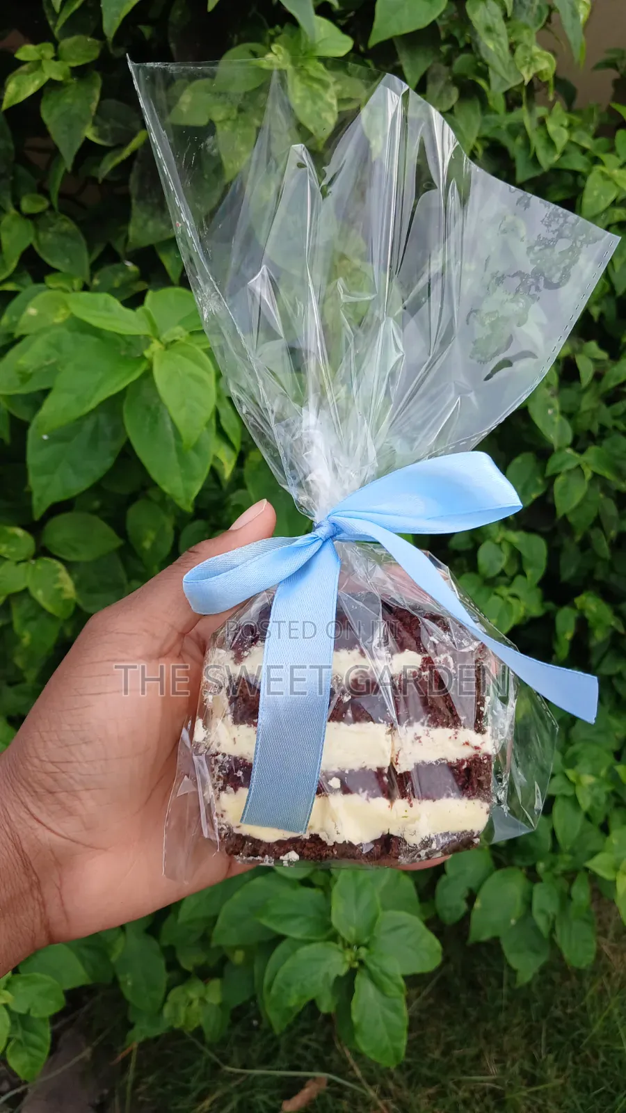 Mini Cake Slices