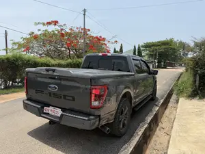 Ford F-150 2022 Gray