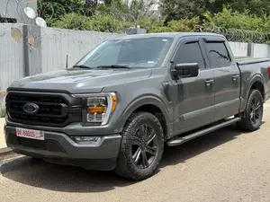 Ford F-150 2022 Gray