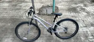 Adult Bicycle