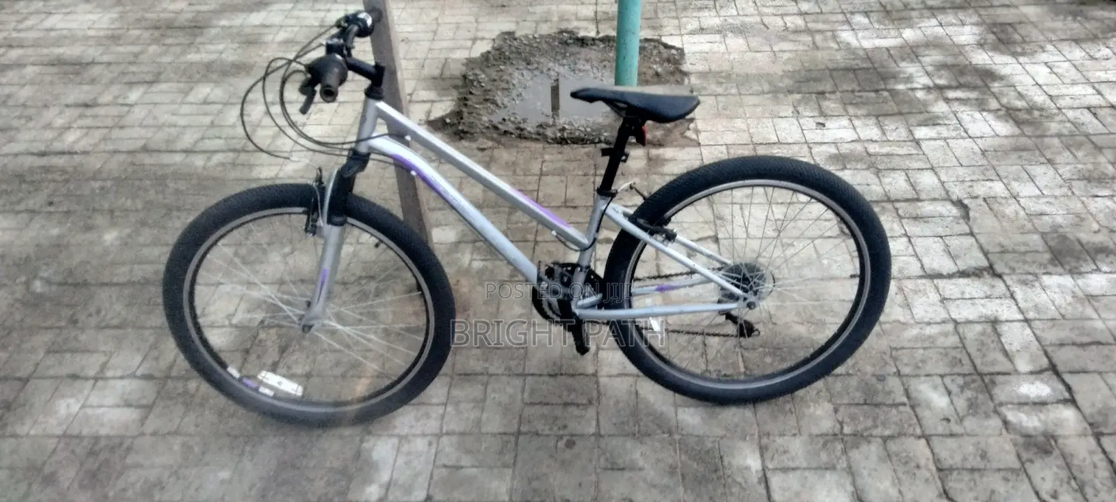 Adult Bicycle