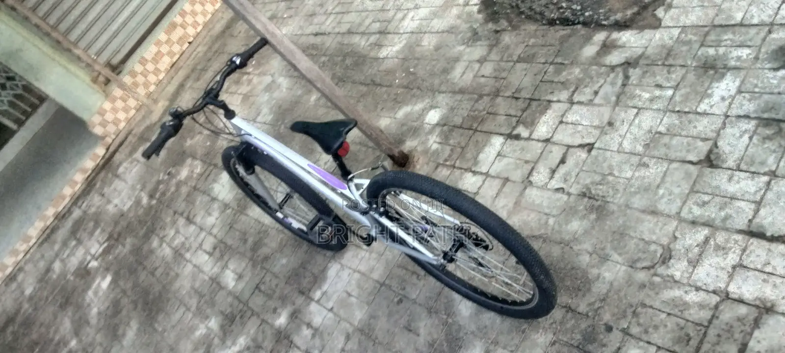 Adult Bicycle