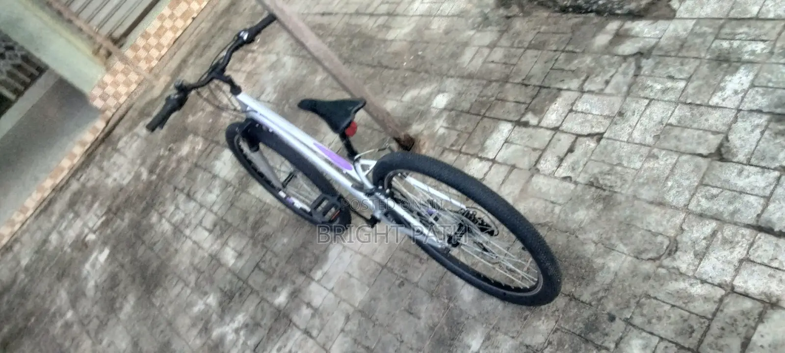 Adult Bicycle