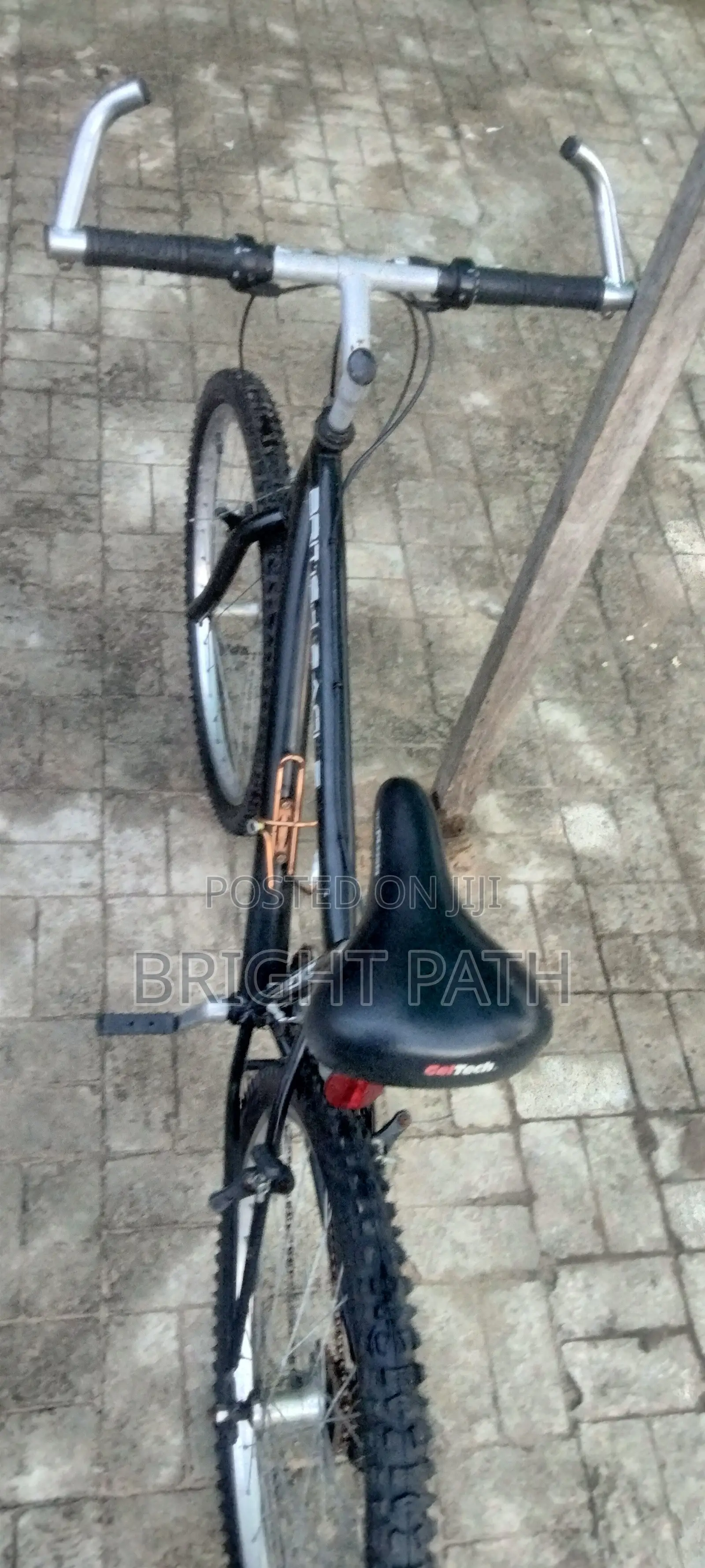 Adult Bicycle