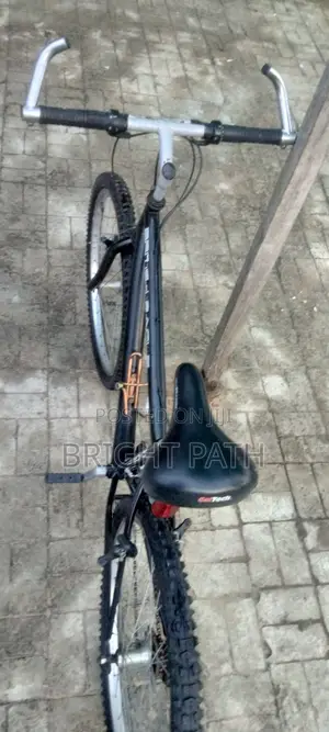 Adult Bicycle