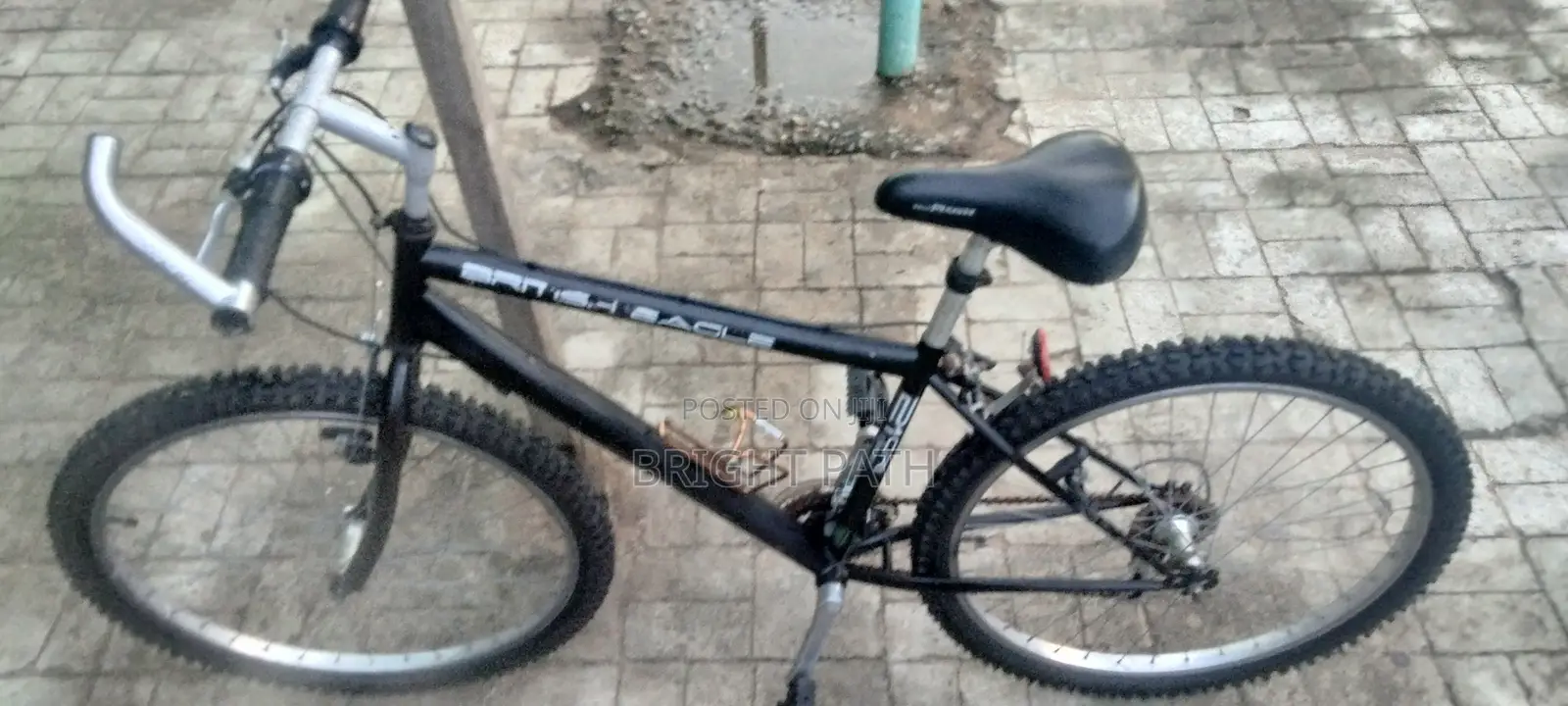 Adult Bicycle