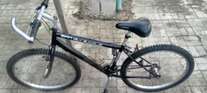 Adult Bicycle