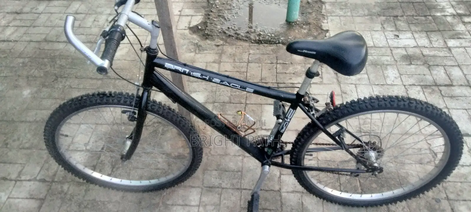 Adult Bicycle