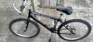 Adult Bicycle