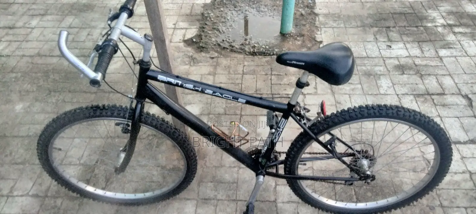 Adult Bicycle