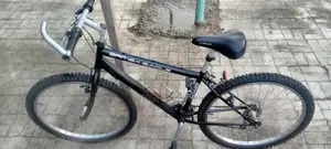Adult Bicycle