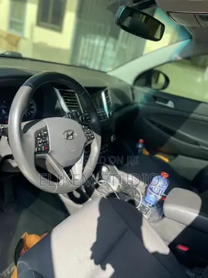 Hyundai Tucson 2017 Gray