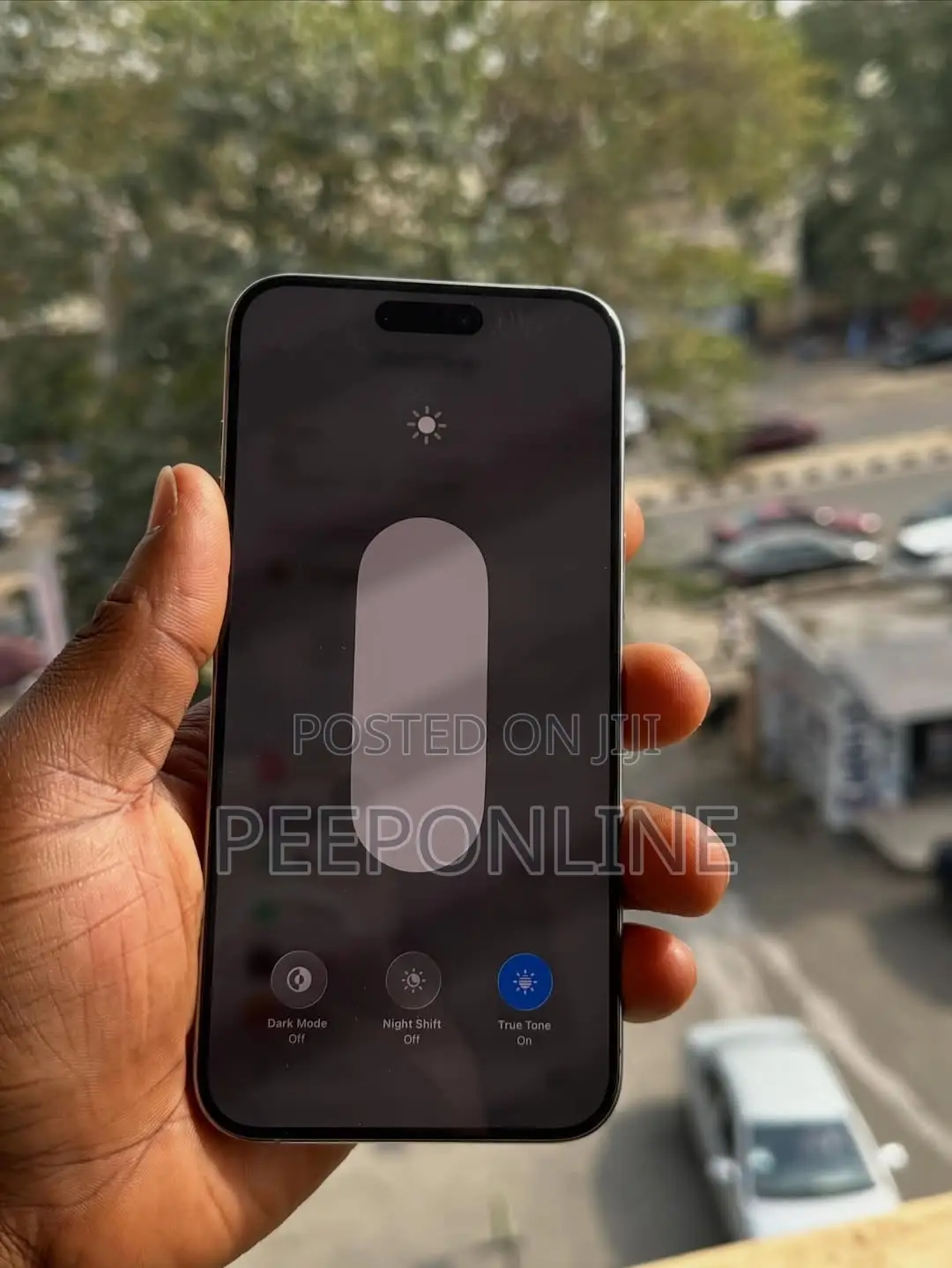 Apple iPhone 15 Pro Max 256 GB