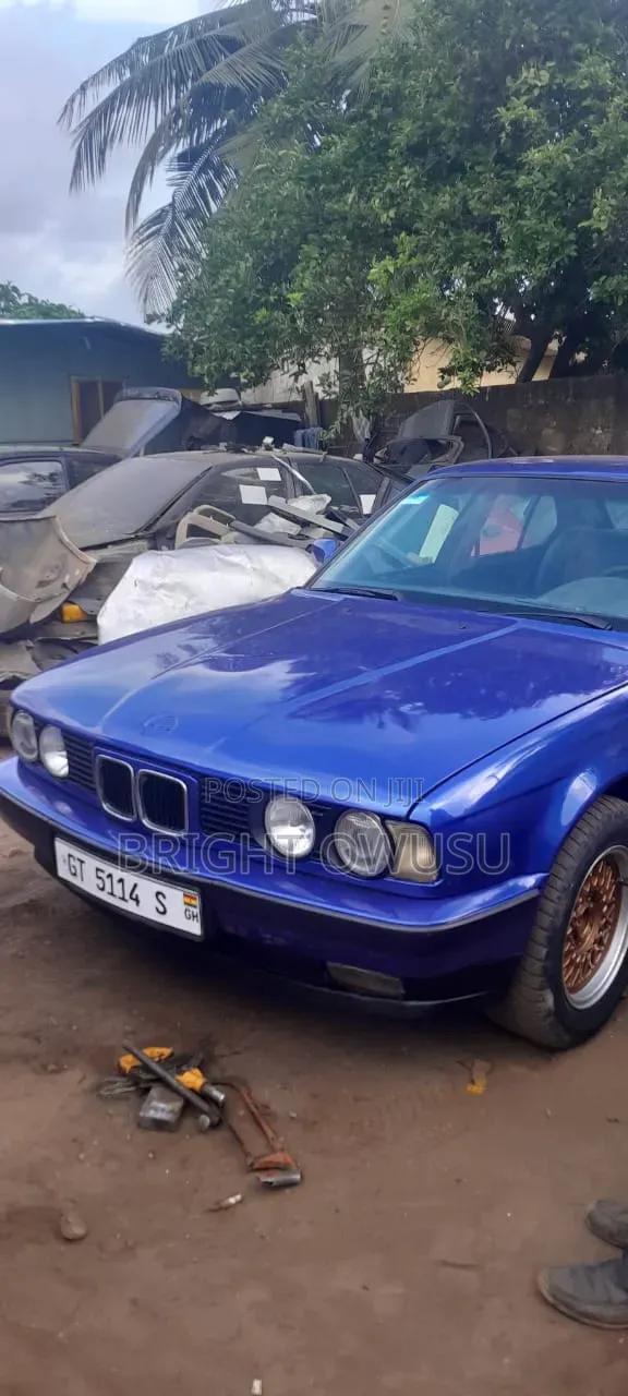 BMW 5 Series 1991 Blue