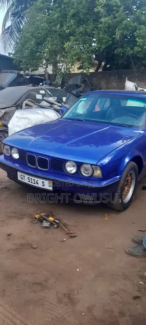 BMW 5 Series 1991 Blue