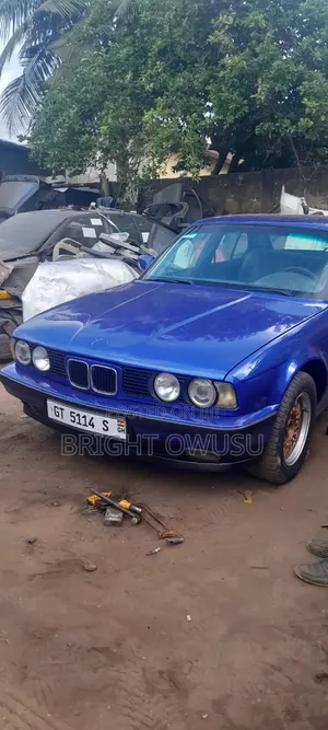 BMW 5 Series 1991 Blue
