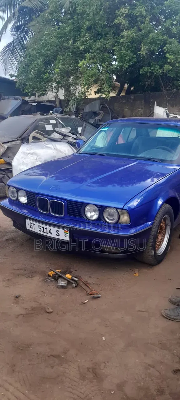 BMW 5 Series 1991 Blue