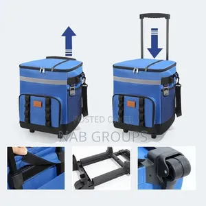 Large Insulated Picnic Bag