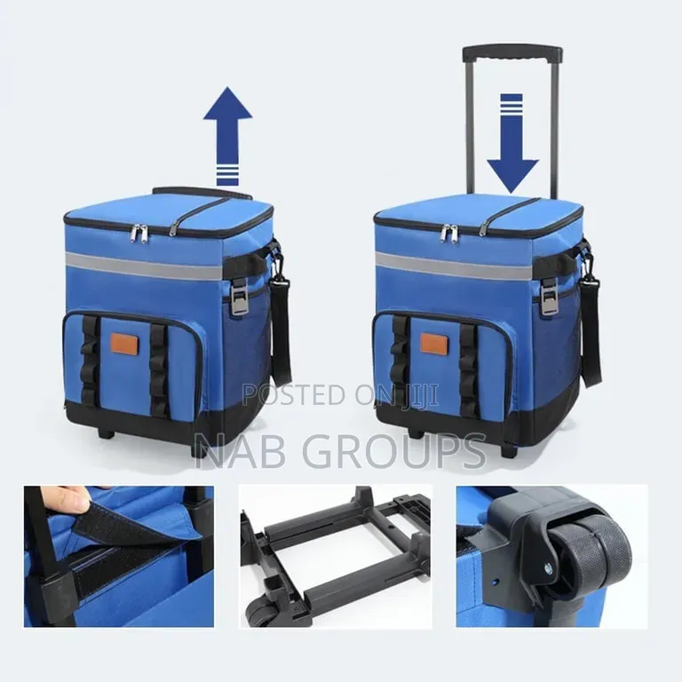 Large Insulated Picnic Bag