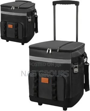 Large Insulated Picnic Bag