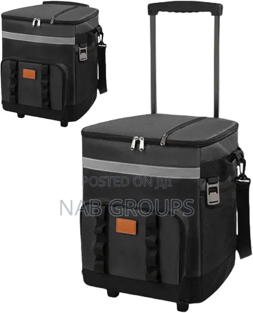 Large Insulated Picnic Bag