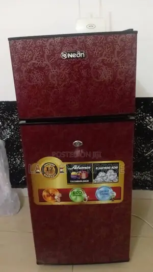 Neatly Used Neon Double-Door Fridge – Clean Efficient