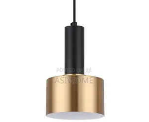Modern Pendant Light