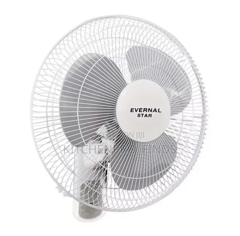 Wall Mount Electric Fan