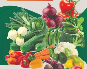 Vegetable Seeds and Seedlings