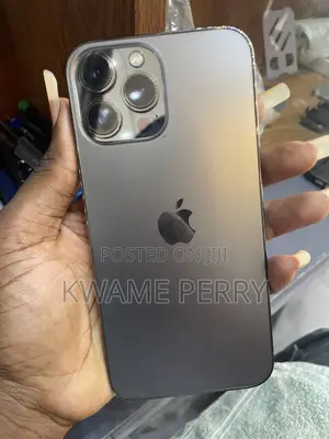 Apple iPhone 13 Pro Max 256 GB Gray