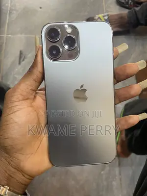 Apple iPhone 13 Pro Max 256 GB Gray