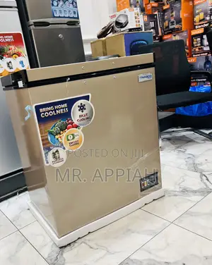 Latest and Unique Nasco(Gold)Single Door Chest Freezer,150l