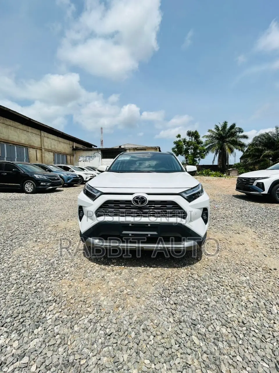 Toyota RAV4 XLE AWD 2024 White