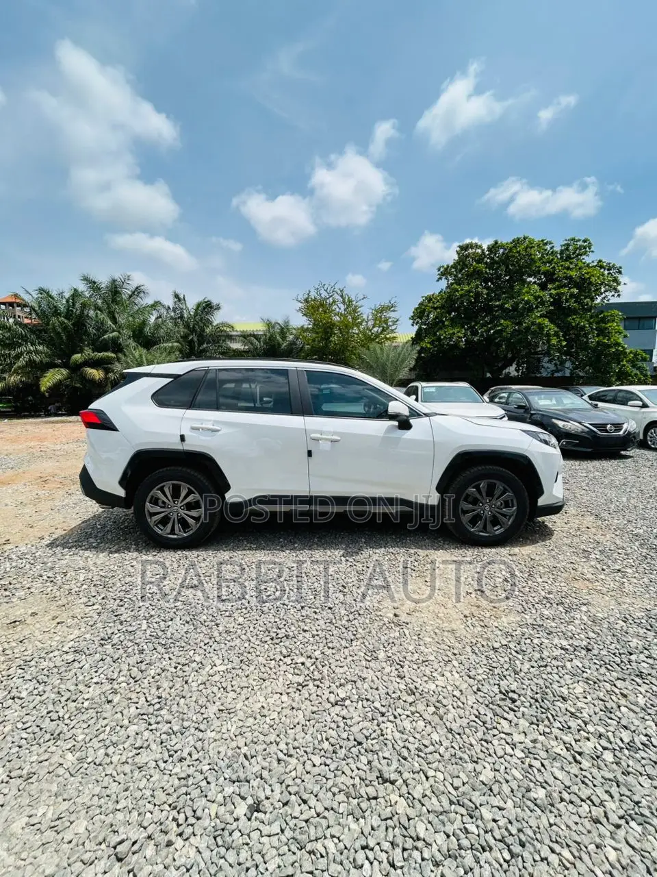 Toyota RAV4 XLE AWD 2024 White