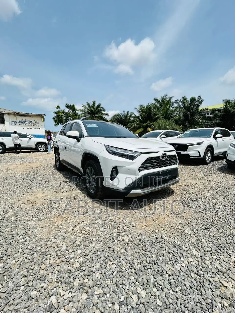 Toyota RAV4 XLE AWD 2024 White