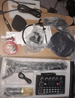 Legendary Vocal Condenser Microphone