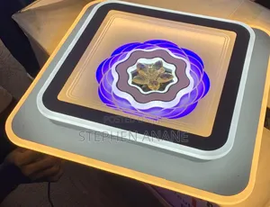 Ceiling Decorative Led Lights