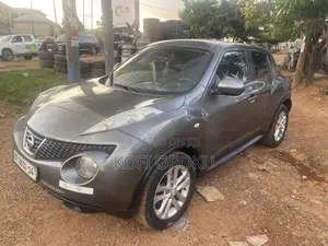 Nissan Juke 2014 Silver