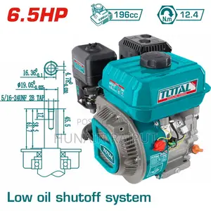Total Gasoline Engine 6.5 Hp
