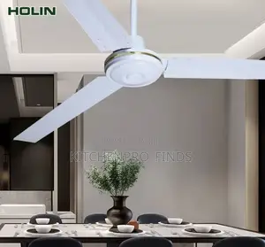 Ceiling Fan (Long Blade)