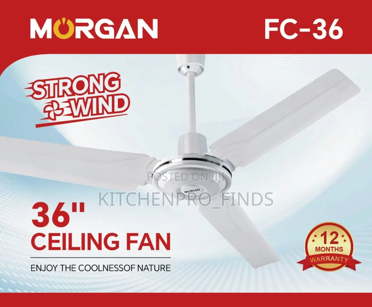 Ceiling Fan (Long Blade)